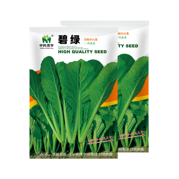 中科茂华蔬菜种子碧绿小白菜种子无刺无绒毛青菜种子绿叶绿帮