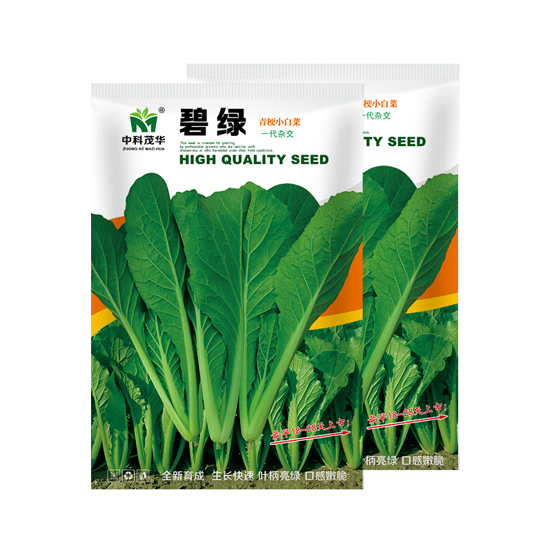 中科茂华蔬菜种子碧绿小白菜种子无刺无绒毛青菜种子绿叶绿帮