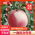 北京8号大型果安徽水蜜桃苗，中熟水蜜桃苗，7月中旬