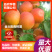 【正品】金太阳杏树苗，个大，果面鲜红，果肉金黄，口感蜜甜