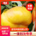 【聚便宜】油蟠7-7蟠桃苗，7月中旬成熟个头大，不裂果
