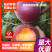 【热销商品】皖南黑桃树苗（乌桃），山区野生品种