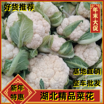 【年末大促】湖北菜花，质优价廉，货源充足，按需发货全国