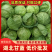 湖北甘蓝，平包，旺旺系列，大量货源，低价走货中