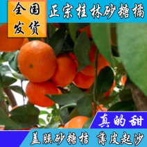 【正宗桂林沙糖桔】新鲜采摘砂糖橘-口感甜-质量保证