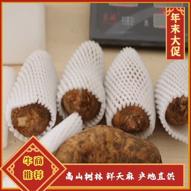天麻鲜天麻5斤宁强高山树林冬麻非云南天麻电商一件代发专拍