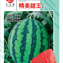 精美甜王西瓜种子早春种植大红瓤甜度14左右西瓜种子