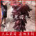 葡之梦葡萄苗基地直销嫁接果树苗现挖现发纯度保证