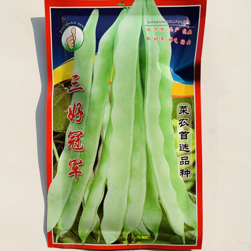 芸豆种子早熟高产抗病纤维少耐老化适应性广商品性好架豆种子