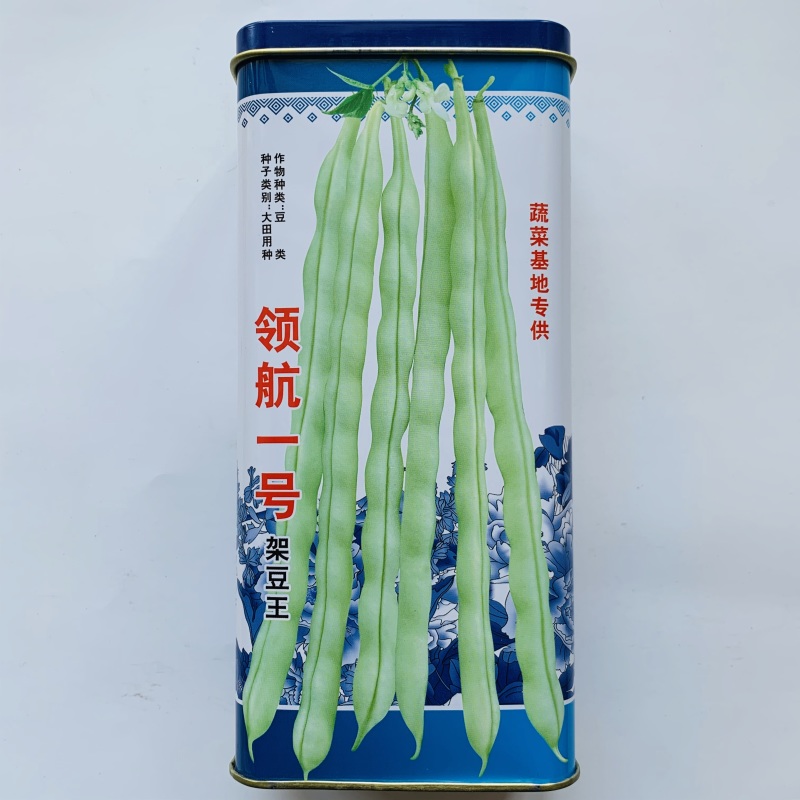 芸豆种子早熟高产抗病纤维少耐老化适应性广商品性好架豆种子