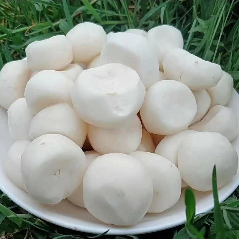 正宗荔浦马蹄手工去皮马蹄荸荠真空包装