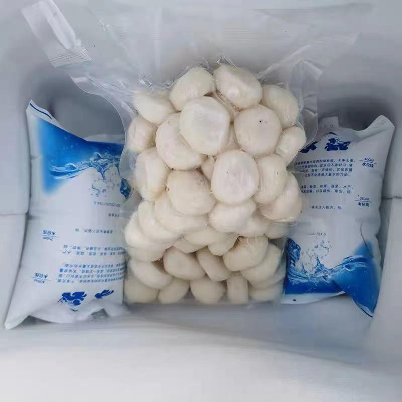 正宗荔浦马蹄手工去皮马蹄荸荠真空包装