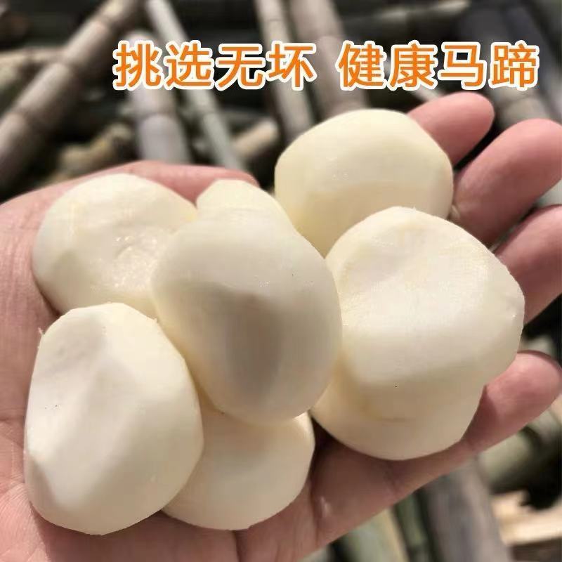 正宗荔浦马蹄手工去皮马蹄荸荠真空包装