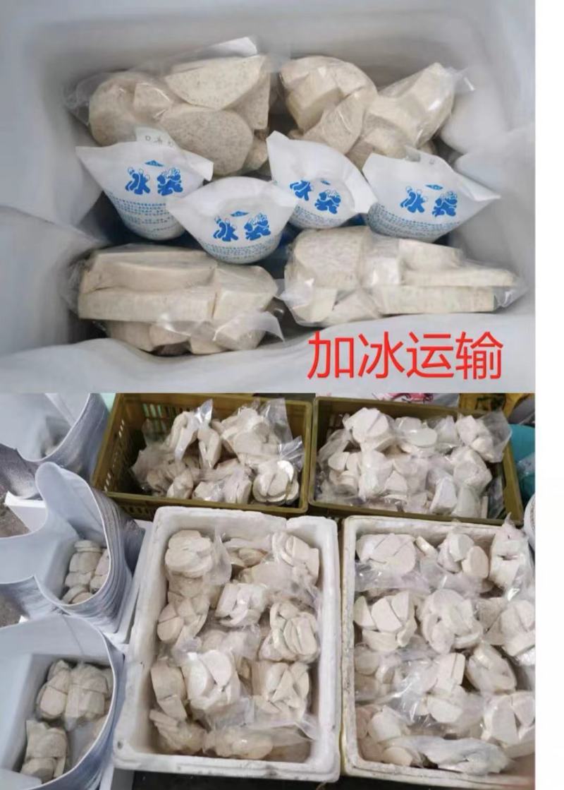 【一件代发】广西桂林新鲜荔浦芋头块真空包装香芋块加工厂