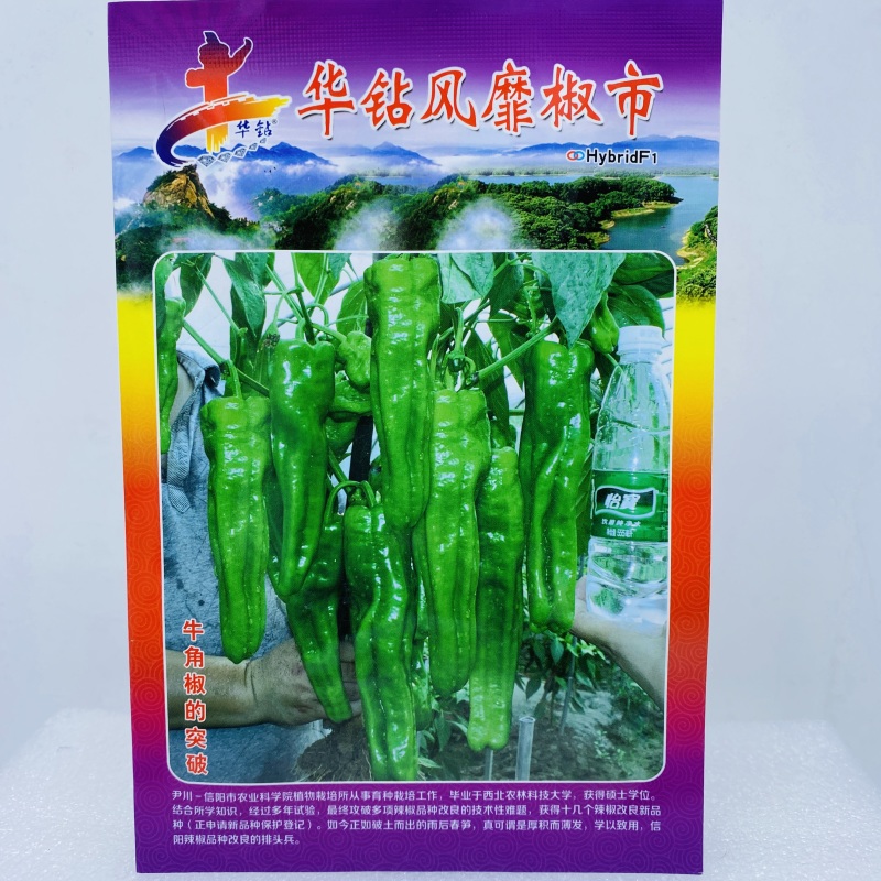 华钻风靡椒市辣椒种子大田用种现货供应。物美价廉，质量有保