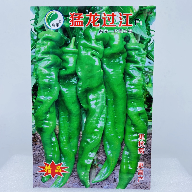 华钻风靡椒市辣椒种子大田用种现货供应。物美价廉，质量有保