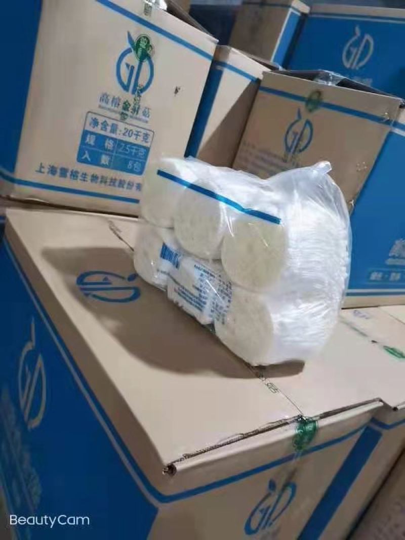 精品江苏高榕金针菇大量供应品种齐全质优价廉量大从优