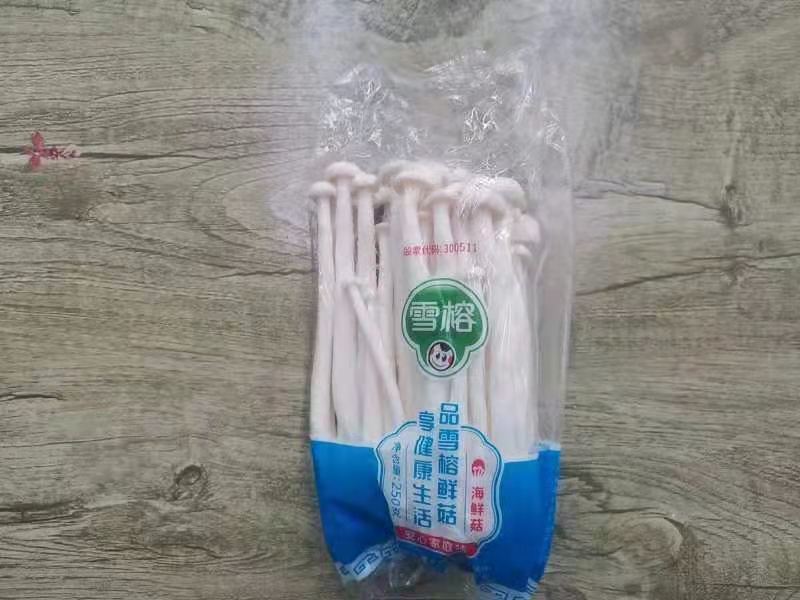 优质江苏高榕白玉菇全国供应商超品质价格实惠支持视频看货