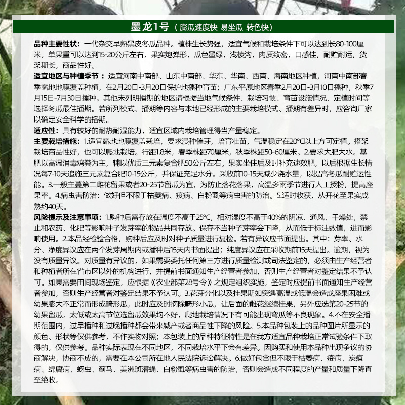 墨龙1号黑皮冬瓜种子绿皮大冬瓜膨瓜速度快耐储耐运