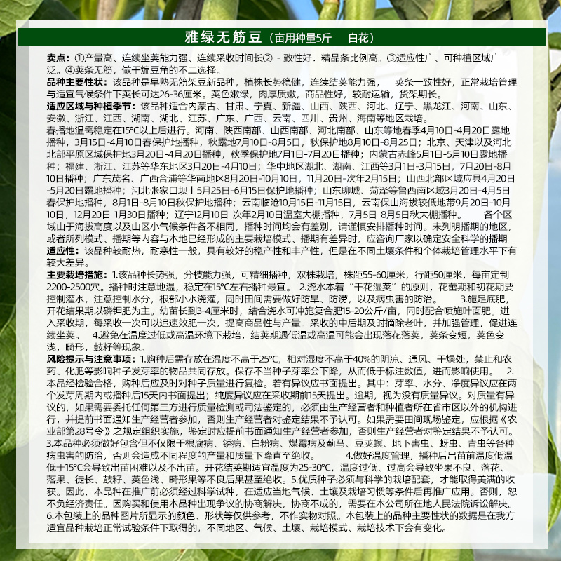 早熟无筋架豆连续结荚能力强荚条一致性好肉厚质嫩耐运输