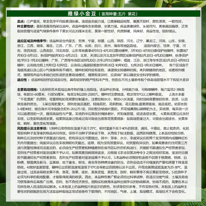 雅绿小金豆架豆种子500g荚条扁圆偏厚头尾均匀一致肉质鲜