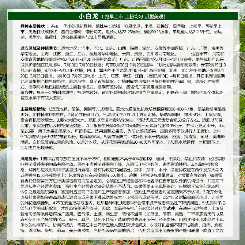 小白龙早熟水冬瓜种子抢早上市蜡粉均匀耐运输耐湿热抗逆