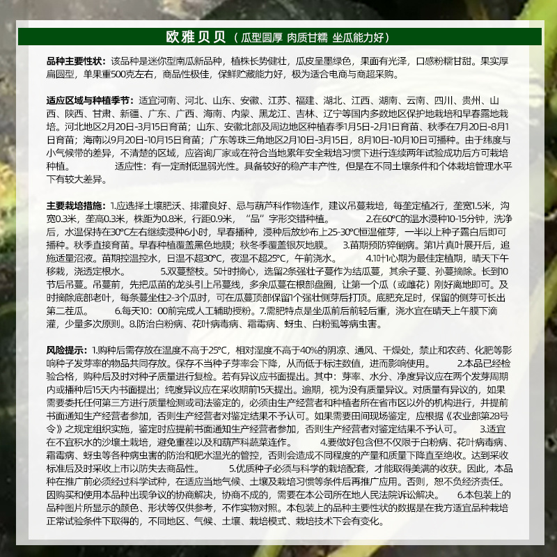 贝贝南瓜迷你型墨绿色口感粉糯甘甜厚扁圆形单果500g左右