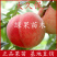 果树苗大久保桃苗嫁接桃树苗现挖现发基地直销包活
