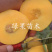 桃树苗新品种中蟠101桃苗瑞蟠101风味天后蟠桃苗