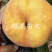 桃树苗中蟠17桃苗嫁接桃树苗黄金蟠桃苗毛蟠桃苗