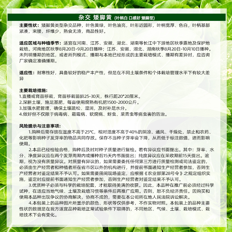 矮脚黄青菜种子叶片黄绿油亮纤维少熟食无渣蔬菜种子