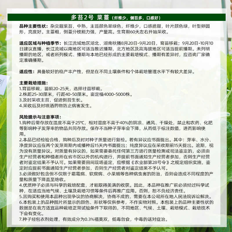 菜苔种子主苔翠绿纤维少叶片绿亮度好主苔粗侧苔分枝能力强
