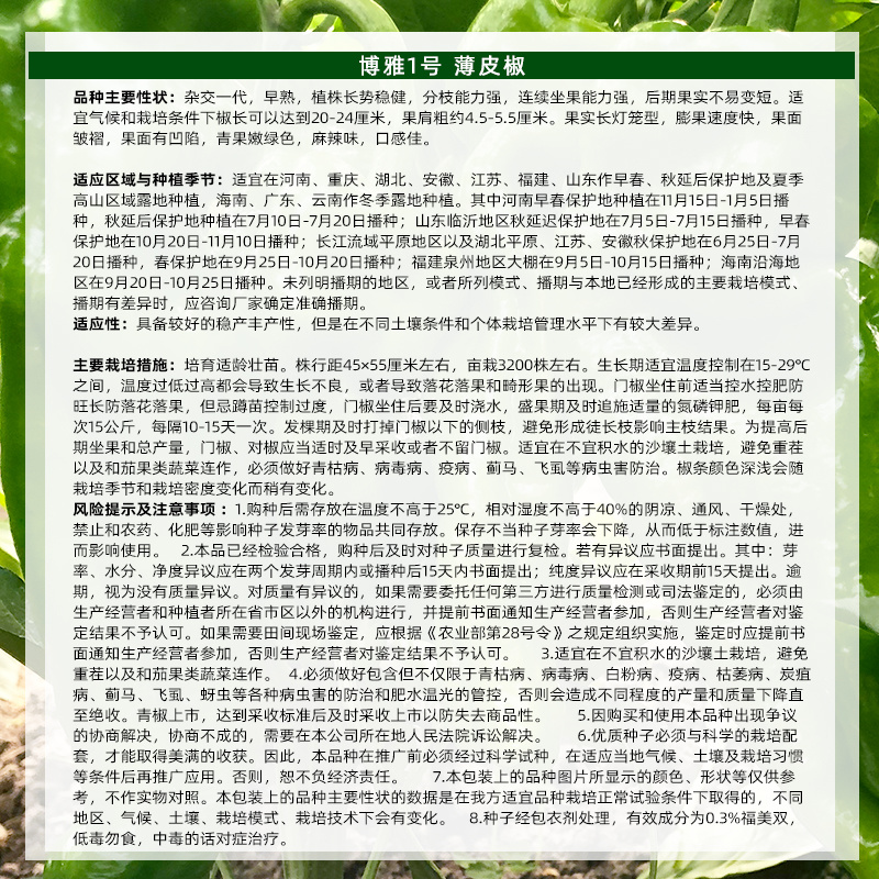 博雅1号长灯笼形薄皮辣椒种子皮薄质脆辣椒