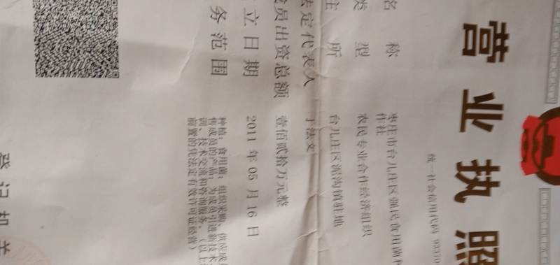 【包出菇】蘑菇菌包蘑菇种植包平菇菌棒香菇菌种菇种