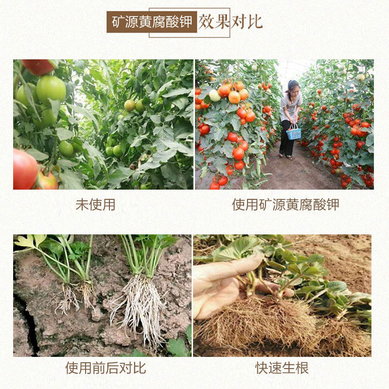 矿源黄腐酸钾全水溶抗重茬调理土壤促根生根激活微生物