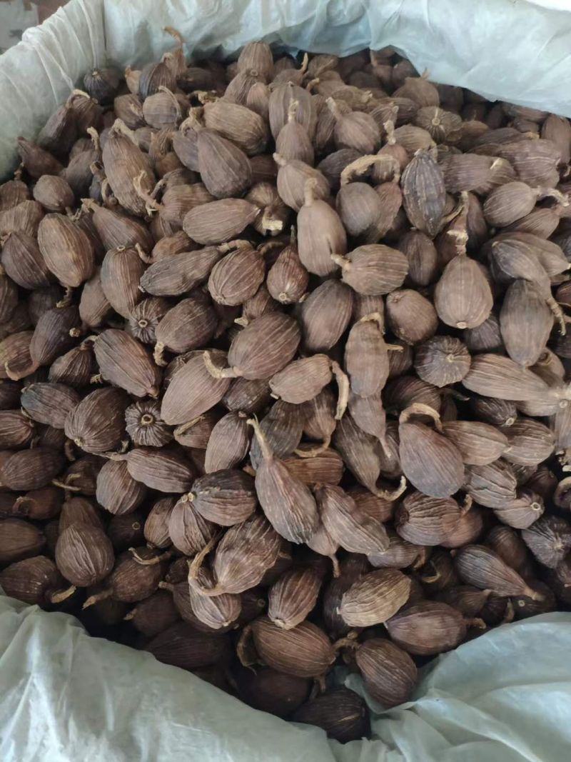 草果云南草果干草果火烤草果电烤草果产地直发精品草果