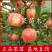 东北123果树苗沙果花红果苗123小苹果树苗