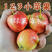 东北123果树苗沙果花红果苗123小苹果树苗