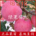 烟富10苹果苗烟富8号苹果树苗M9T33矮化乔华砧木