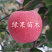 烟富10苹果苗烟富8号苹果树苗M9T33矮化乔华砧木
