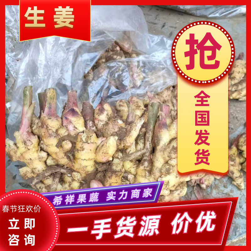 大黄姜山东大黄姜产地供货【一手货源】品质保证实力代办