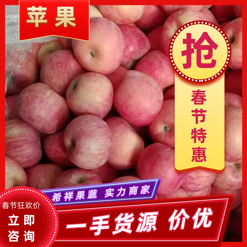 精品红富士苹果产地供货货源充足量大从优