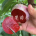 无核红肉冰糖李苗自然无核改良品种基地直销包邮