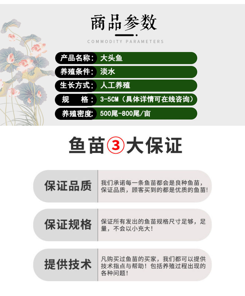 大头鱼苗花鲢苗鳙鱼苗