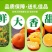 【一件代发】广西武鸣沃柑支持各大电商平台代发