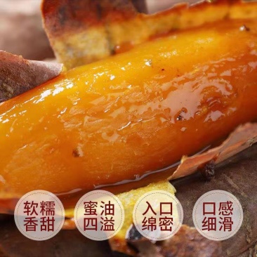 优质河南西瓜红蜜薯大量供应货源充足质优价廉支持视频看货