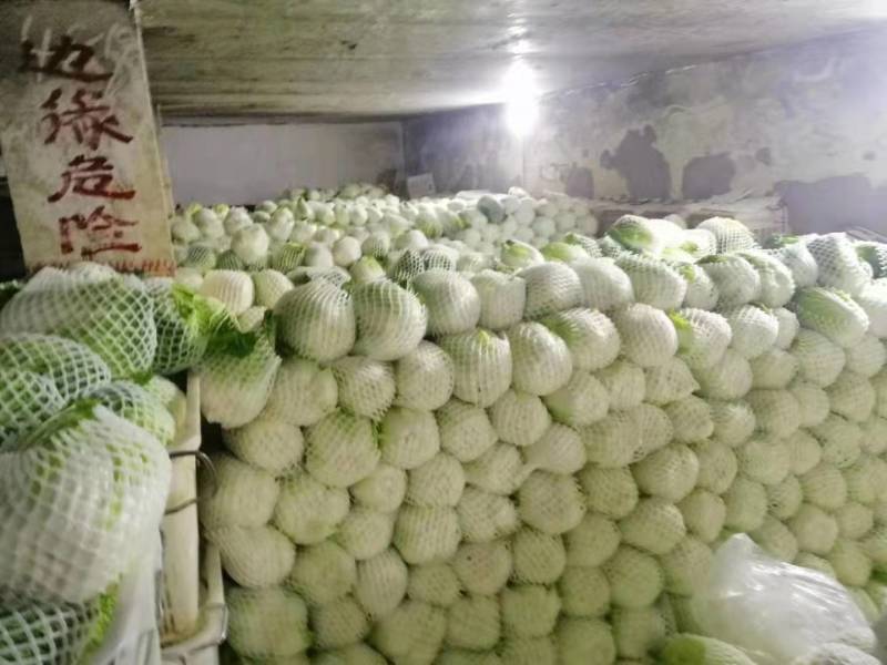 【精选娃娃菜】产地直发货真价实可视频看货欢迎选购