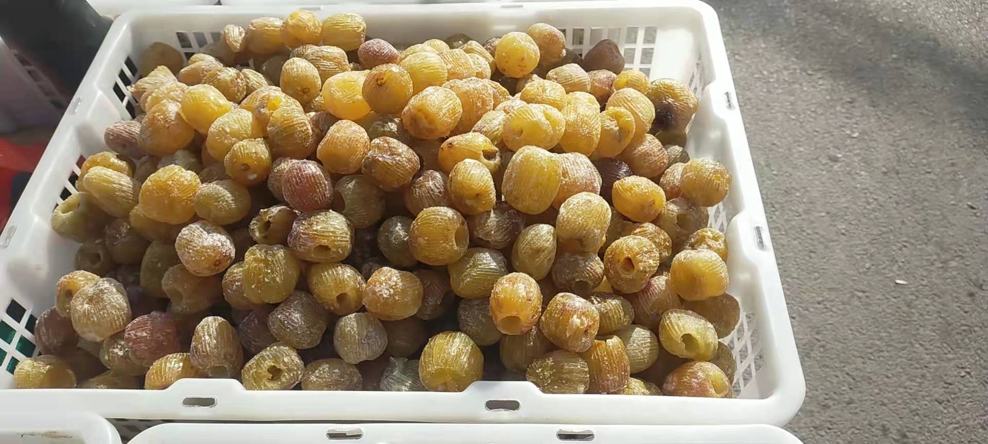 黄金蜜4号黄桃罐头成品陈列图