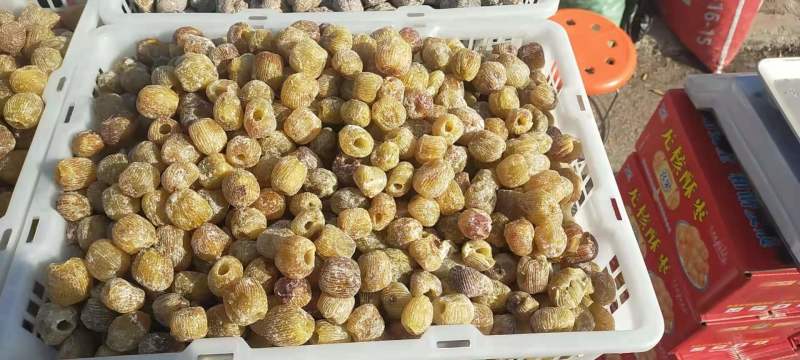山西省稷山特产精品干蜜枣欢迎新老朋友品尝