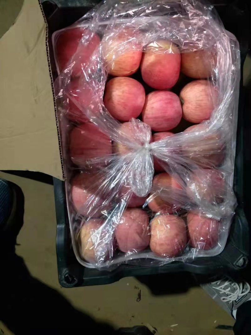 精品山西红富士苹果产地直供现货供应欢迎选购！